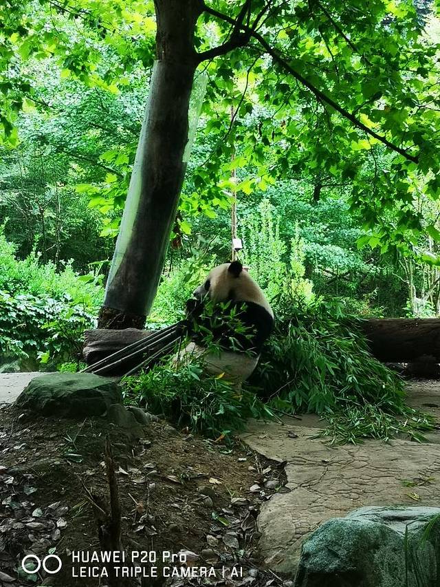 九寨沟-则查洼沟