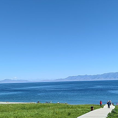 解忧公主薰衣草园