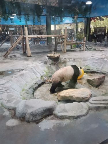 栾川竹海野生动物园