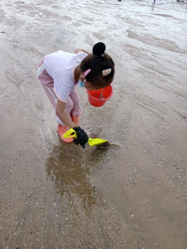 五缘湾 五缘通帆船