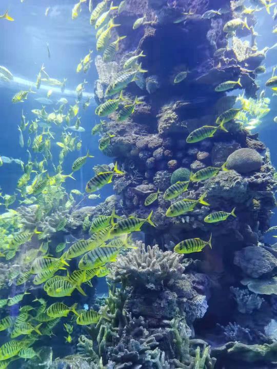 武汉东湖海洋世界