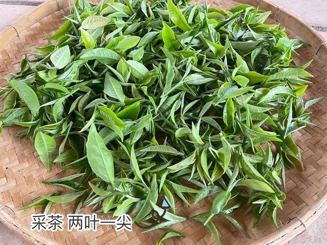 积庆里红茶谷