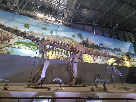 西峡恐龙遗迹园