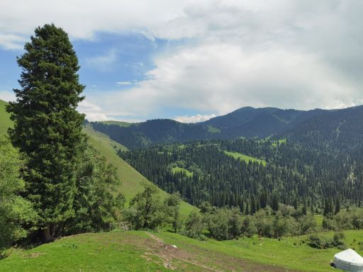 那拉提国家森林公园