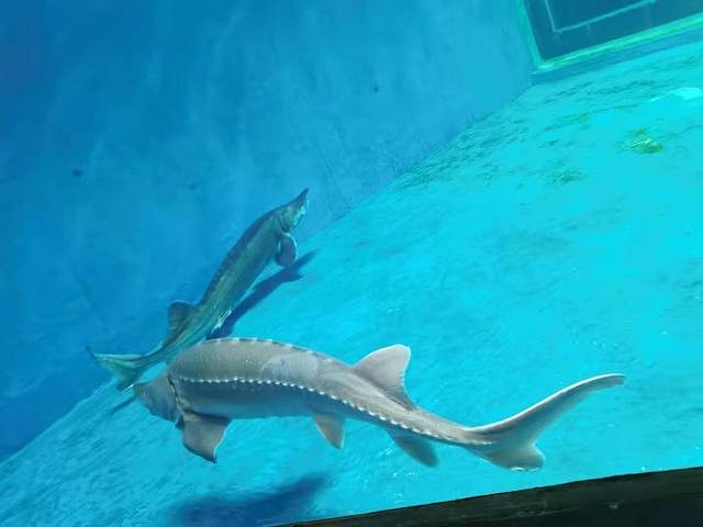 武汉东湖海洋世界