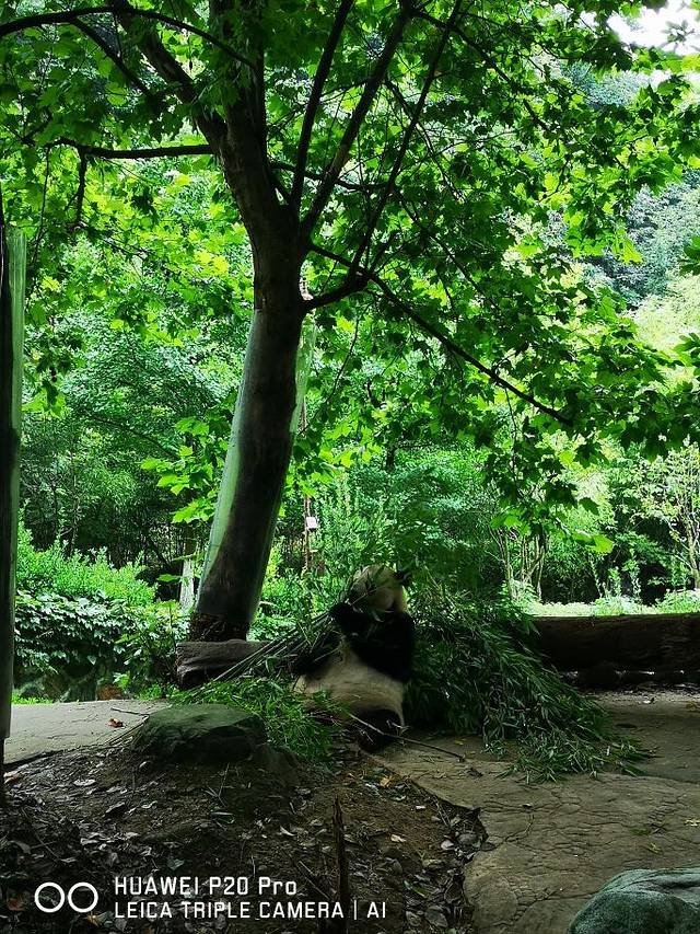 九寨沟-则查洼沟