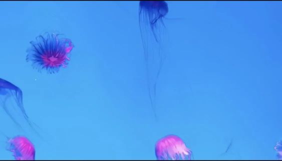 青岛方特梦幻王国