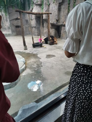 栾川竹海野生动物园