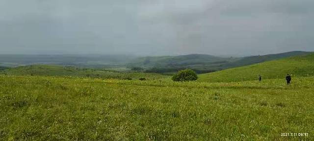 御道口草原森林风景区-大清猎苑
