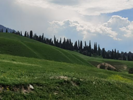 那拉提国家森林公园