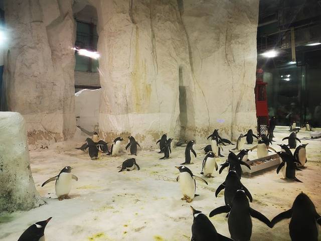 大连圣亚海洋世界