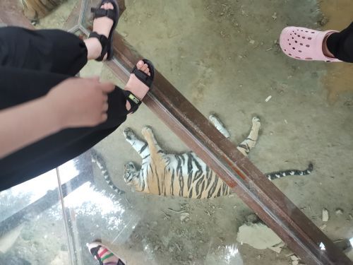 栾川竹海野生动物园