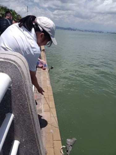 五缘湾 五缘通帆船