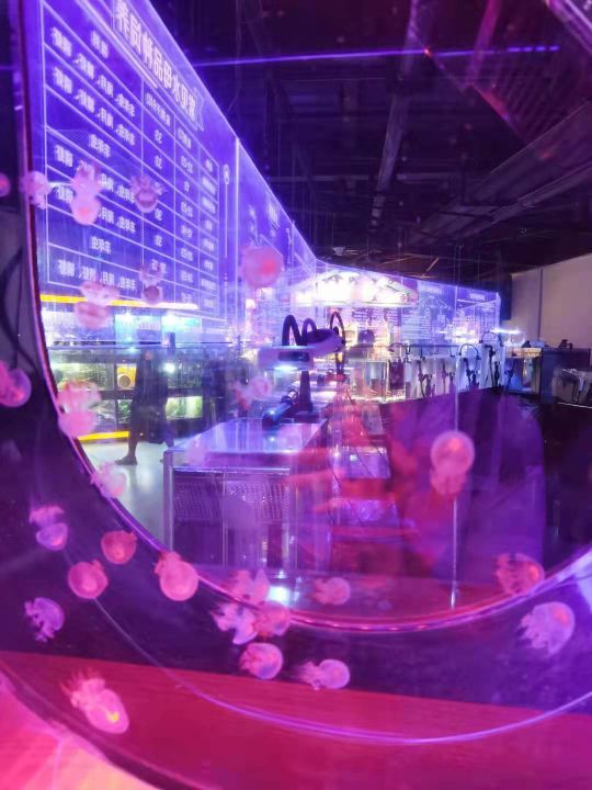 武汉东湖海洋世界