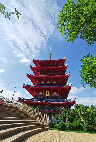 这个团也很好,13人的团,非常好相处_秦始皇帝陵博物院-丽山园"的