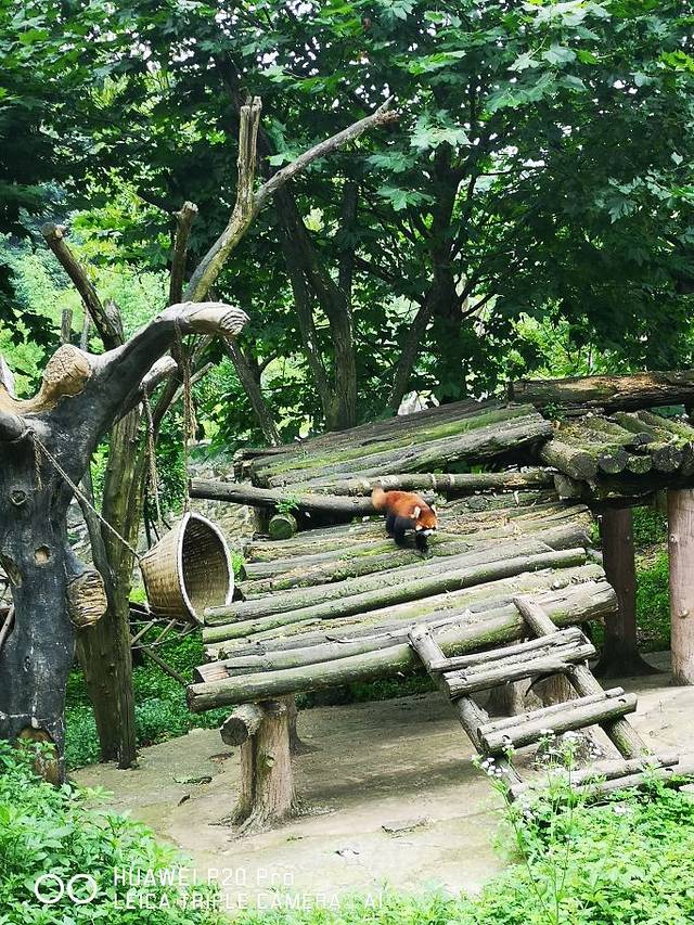 九寨沟-则查洼沟