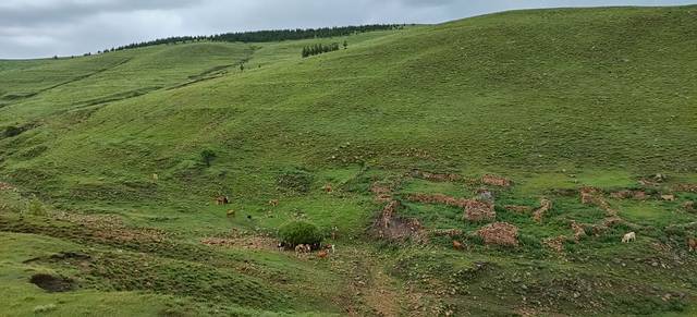 红格尔敖包旅游景区