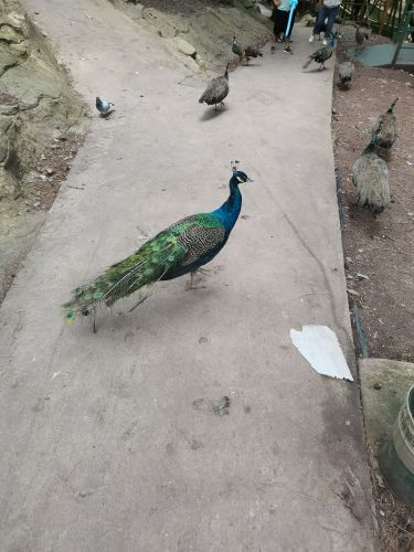 小人国主题公园