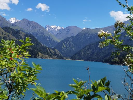 天山天池区间车