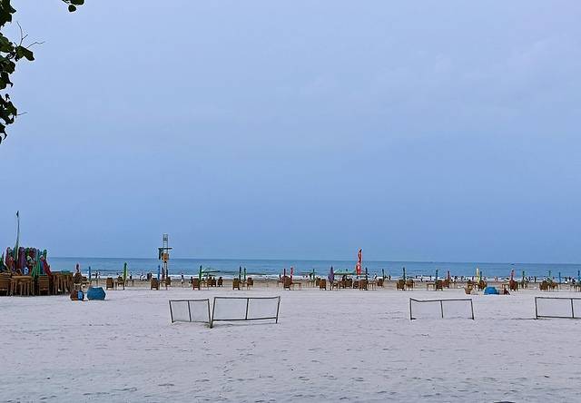 红树林天天赶海