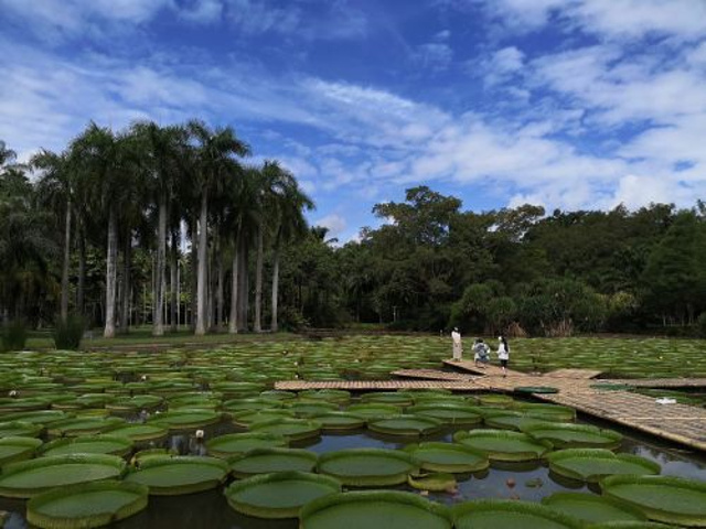 中科院西雙版納熱帶植物園