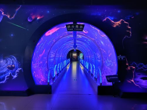 红树林天天赶海