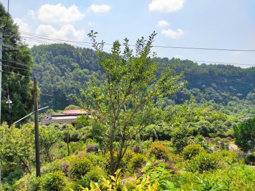 佛影峡漂流景区-陡溪谷溯溪