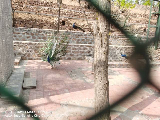 北戴河集发梦想王国