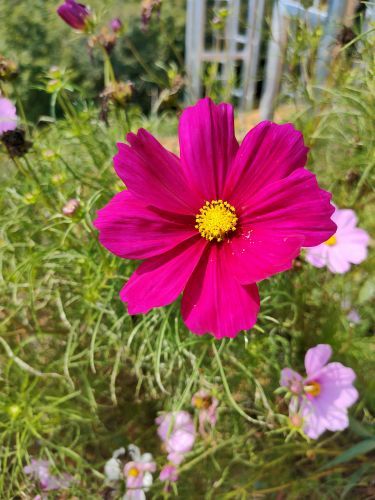 玉龙溪大峡谷风景区