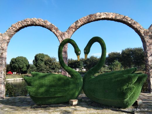 鹅湖玫瑰文化园