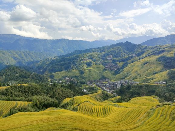 龙脊梯田