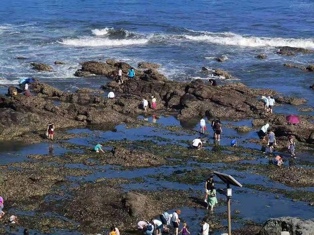 有轨电车(机车商厦店)