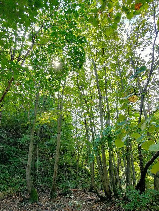 玉龙溪大峡谷风景区