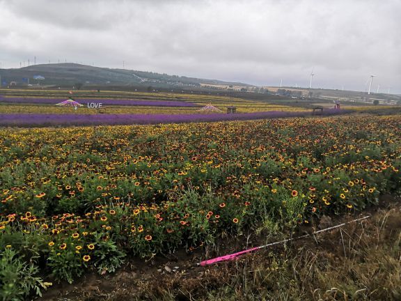 野狐岭要塞旅游区