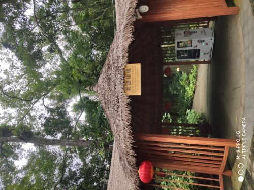 海南百花岭热带雨林文化旅游区