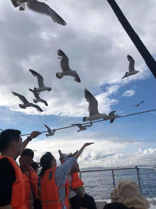 有轨电车(机车商厦店)