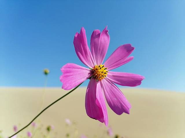 《又见敦煌》演出