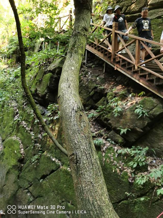 保康五道峡风景区