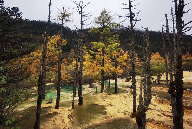 都江堰景区鱼嘴分水堤