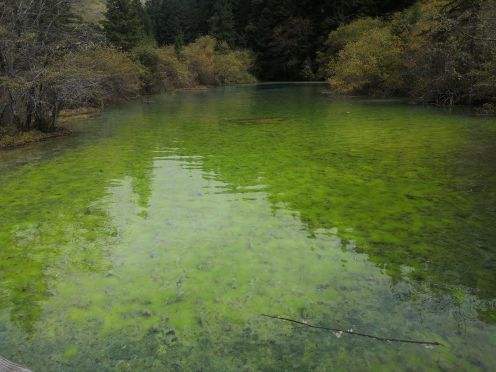九寨沟-则查洼沟