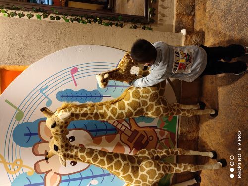 郑州银基动物王国