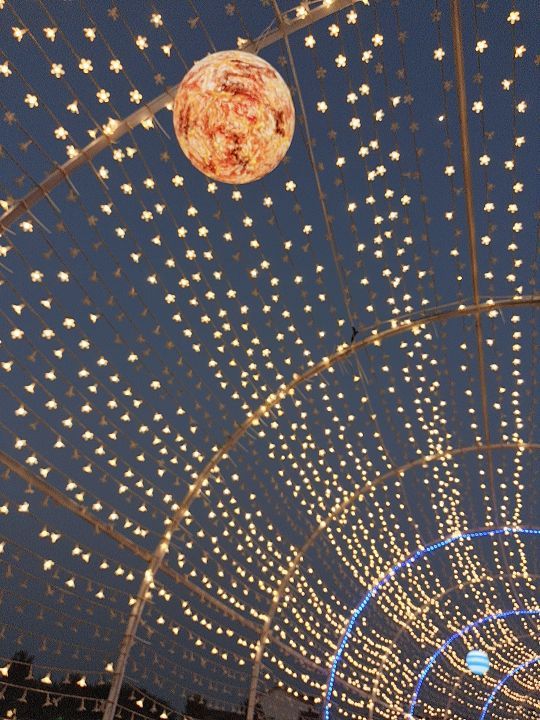 新枫林花海无忧牧场