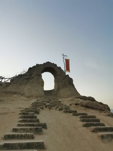 红玛瑙枸杞观光园