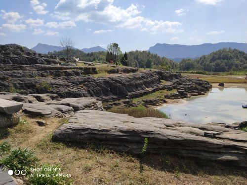 寒武纪石林景区