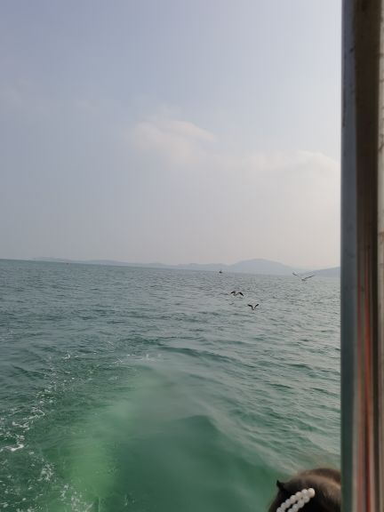 威海国际海水浴场