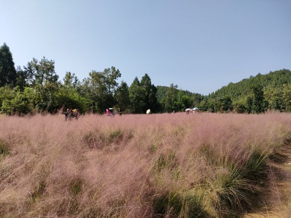 贵州农业博览园