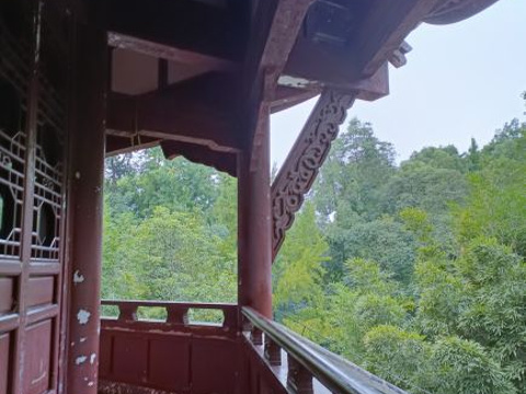 杜甫草堂旅游景点图片