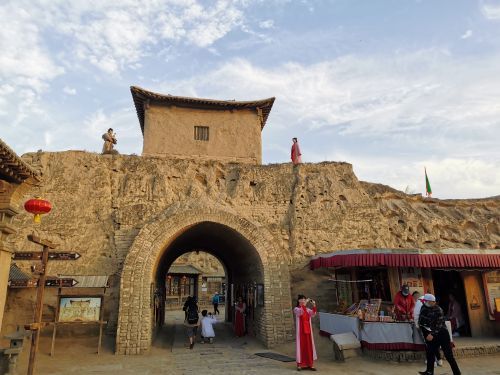 红玛瑙枸杞观光园