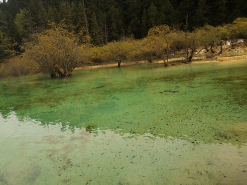 九寨沟-则查洼沟