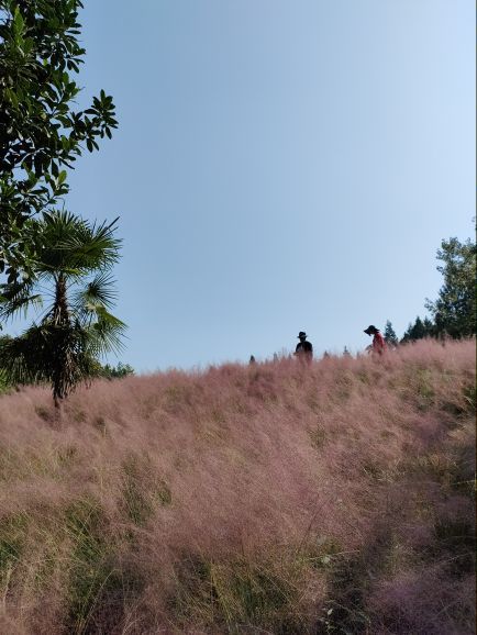 贵州农业博览园